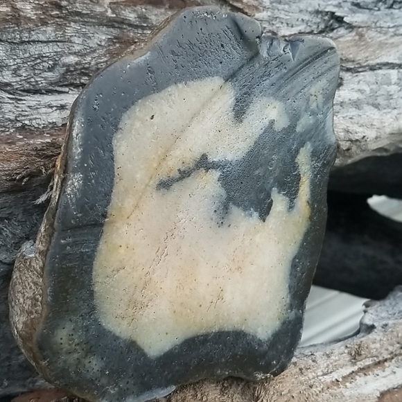 Agate, Kentucky agate, sliced,lightly polished - Picture 3 of 3